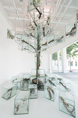 Takashi Kuribayashi, Trees, 2015 Mixed media installation, Photo credit: SAM