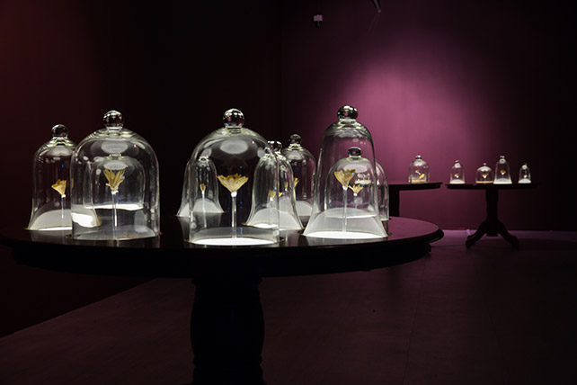 Ezzam Rahman, Here's who I am, I am what you see, 2015, Artist's skin, nails and adhesive, second-hand furniture and glass bell jars, Dimensions variable Singapore Art Museum commission, Collection of the Artist